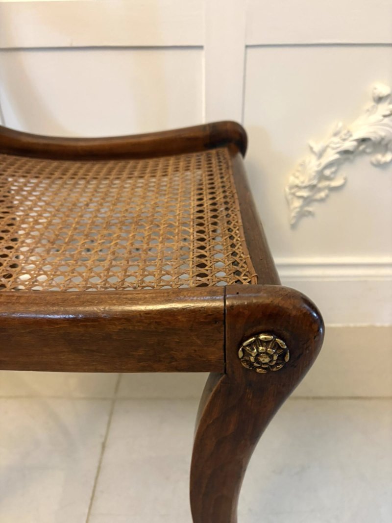 Antique Regency Mahogany Dining Chairs – Set of Six with Cane Seats, Five Singles & One Carver - Image 17